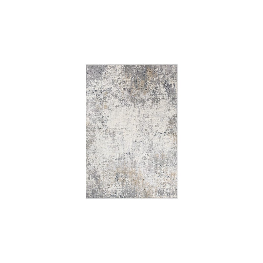 Surya Norland NLD-2314 2' x 3' Rug