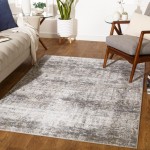 Surya Norland NLD-2315 2' x 3' Rug