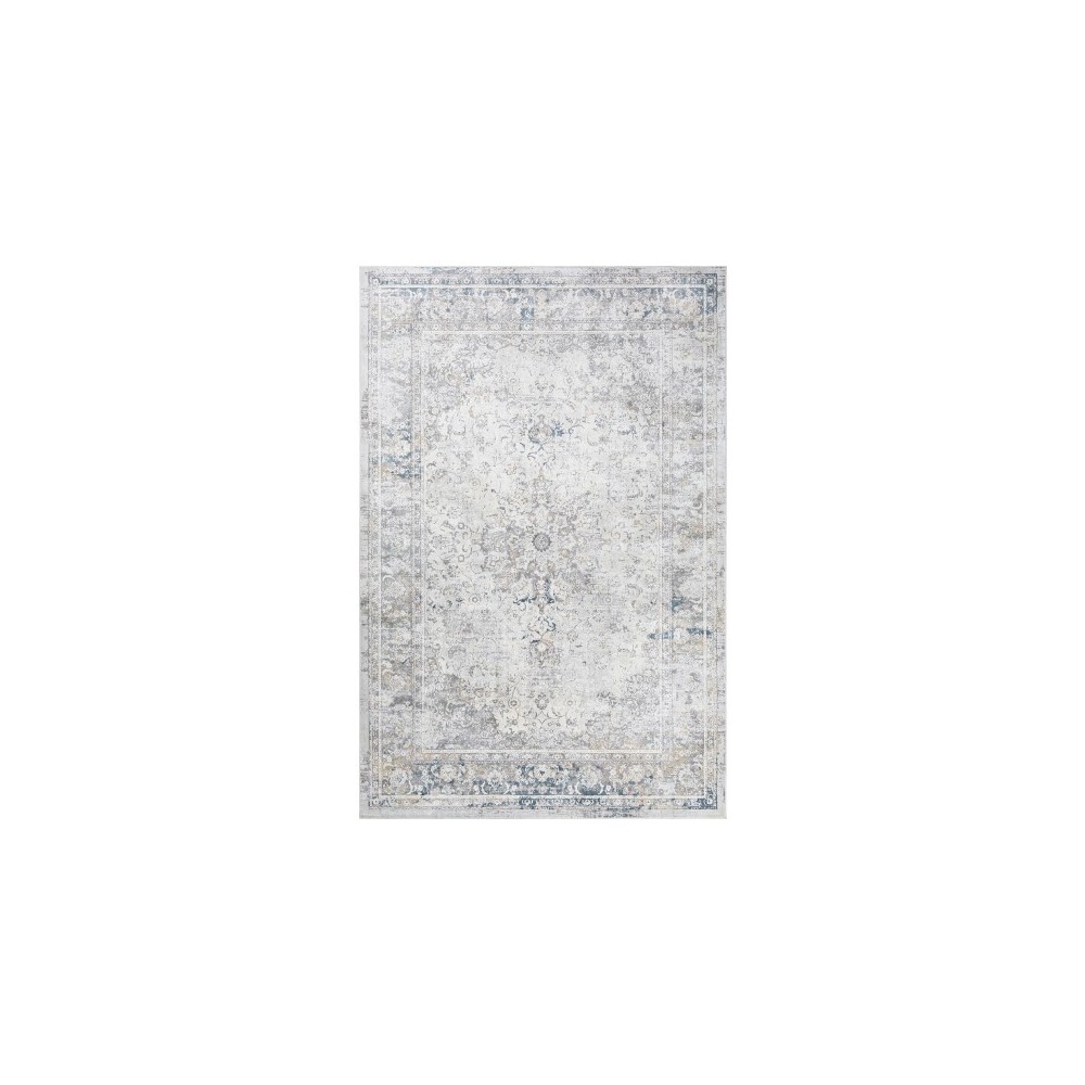 Surya Norland NLD-2317 2'7" x 4' Rug