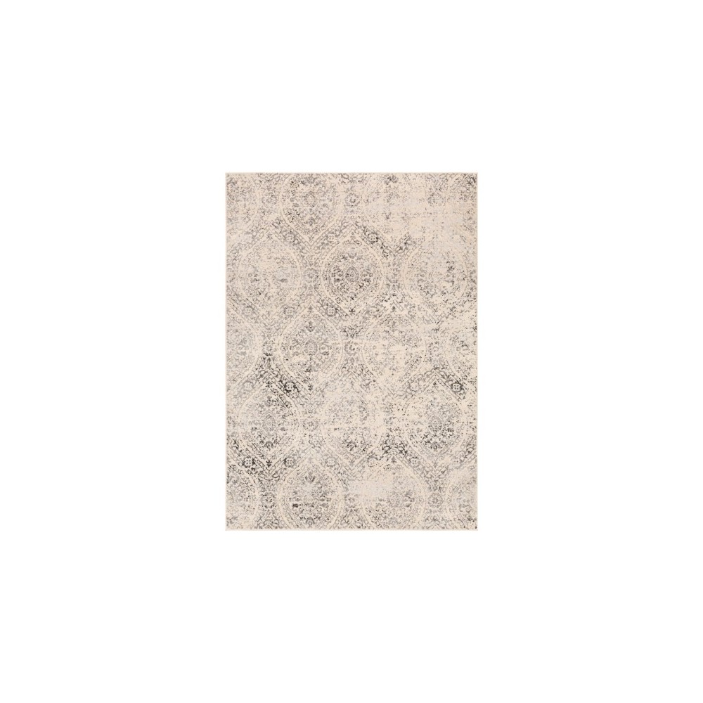 Surya City Light CYL-2318 4'3" x 5'11" Rug