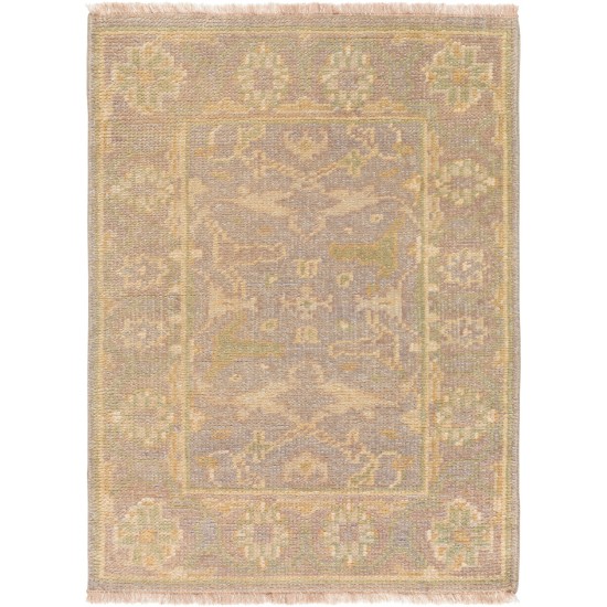 Surya Ainsley AIN-1000 3'9" x 5'9" Rug