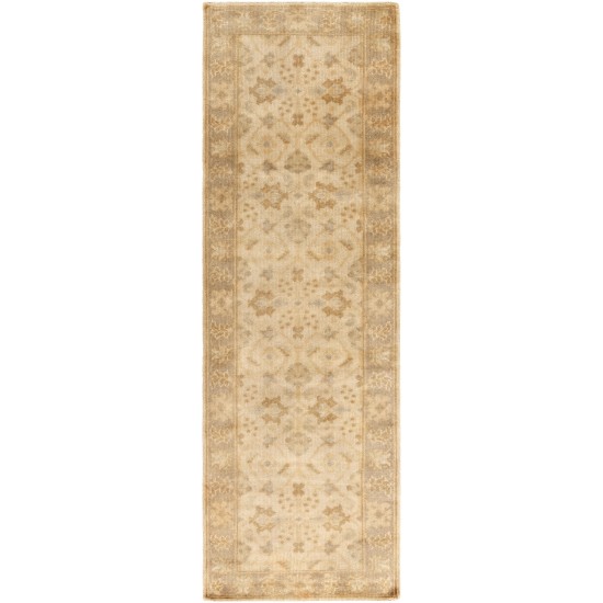 Surya Ainsley AIN-1017 2' x 3' Rug