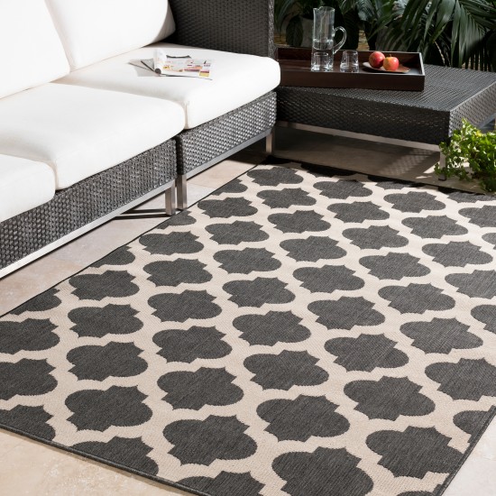 Surya Alfresco ALF-9584 8'10" Square Rug