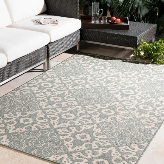 Surya Alfresco ALF-9634 3'7" x 5'7" Rug