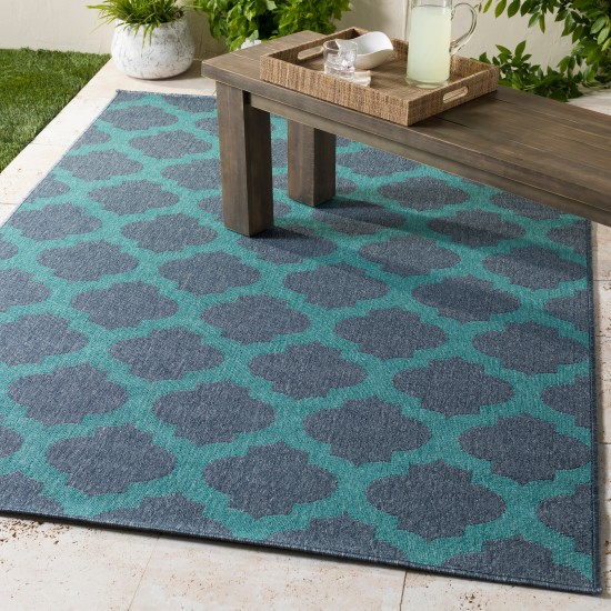 Surya Alfresco ALF-9663 2'5" x 4'5" Rug