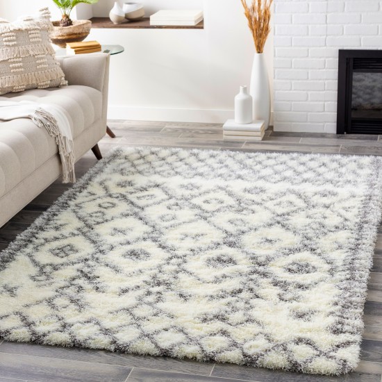 Surya Cloudy Shag CYS-3417 5'3" x 7'3" Rug