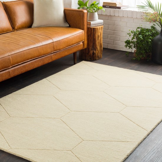 Surya Ashlee ASL-1025 2' x 3' Rug