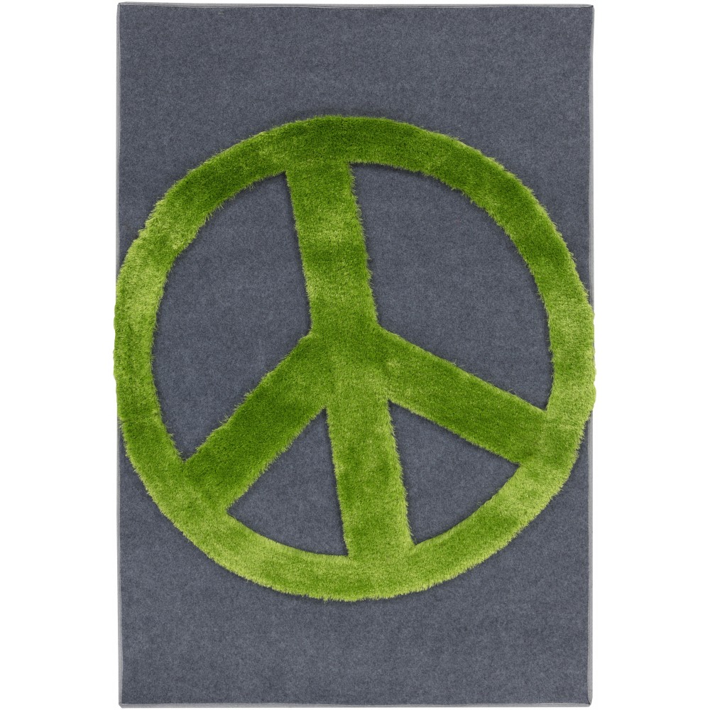Surya Crash CRH-6002 4' x 6' Rug Surya Crash CRH-6002 4' x 6' Rug