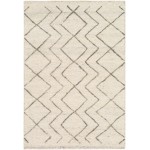 Surya Dasher DSH-5001 2' x 3' Rug