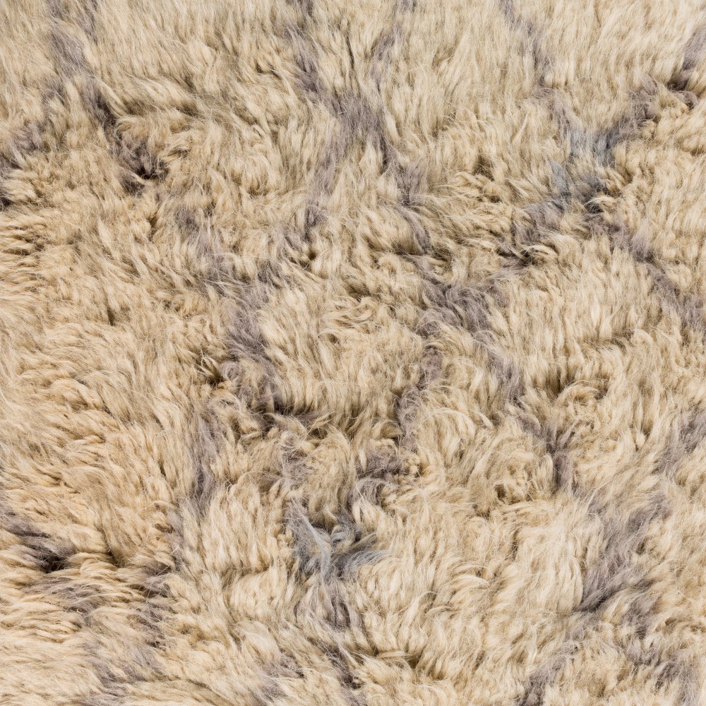 Surya Denali DEN-5004 2' x 3' Rug