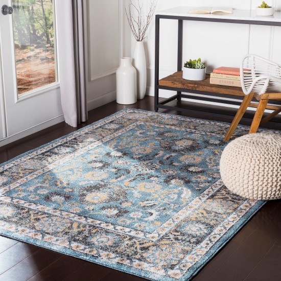 Surya Azul AZU-2303 5'3" x 7'3" Rug