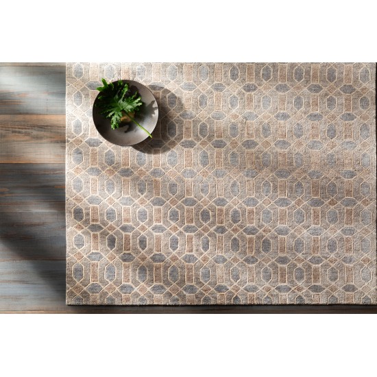 Surya Florentine FNT-1002 2' x 3' Rug