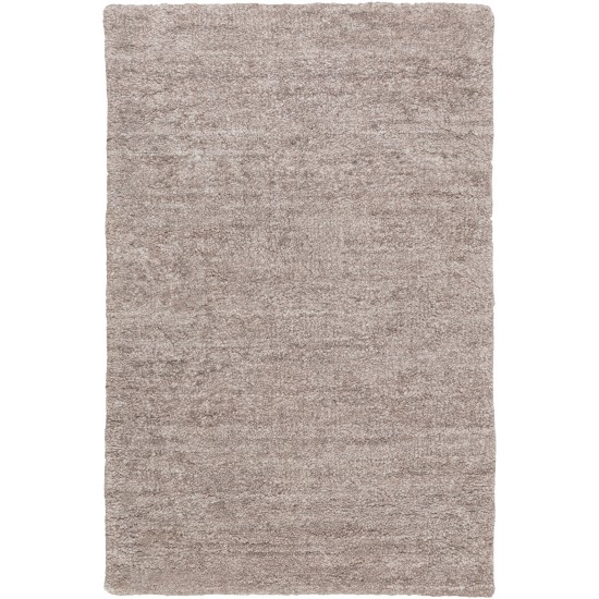 Surya Haize HAZ-6008 2' x 3' Rug