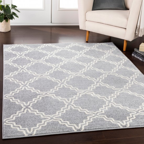 Surya Horizon HRZ-1073 9'3" x 12'6" Rug