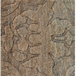 Surya Galloway GLO-1001 8' x 11' Rug