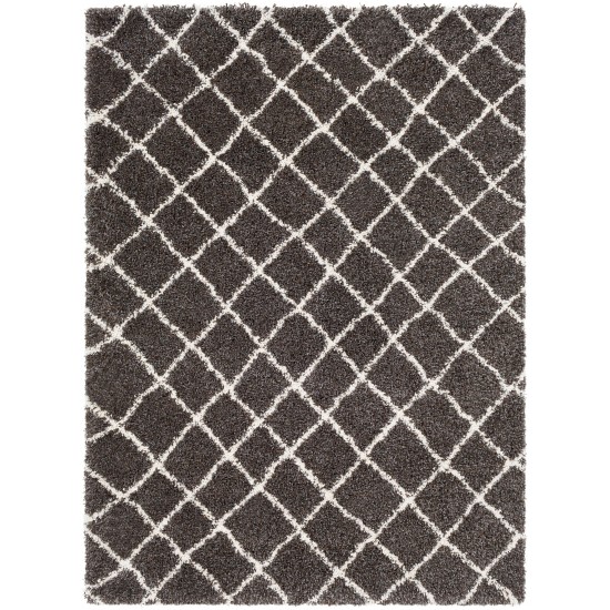 Surya Kodiak KDK-1027 2' x 3' Rug