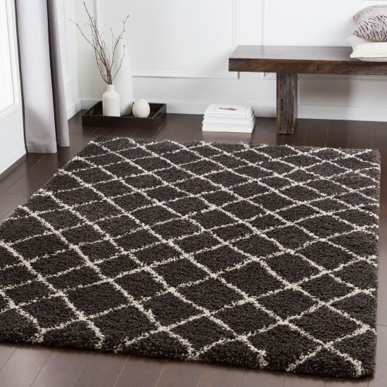 Surya Kodiak KDK-1027 2' x 3' Rug