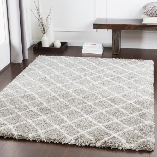 Surya Kodiak KDK-1029 2' x 3' Rug