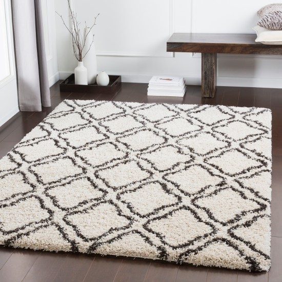 Surya Kodiak KDK-1031 2' x 3' Rug