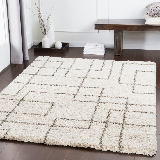 Surya Kodiak KDK-1032 2' x 3' Rug