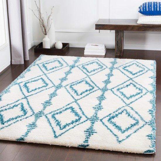 Surya Kodiak KDK-1036 2' x 3' Rug