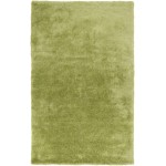 Surya Nimbus NBS-3006 2' x 3' Rug