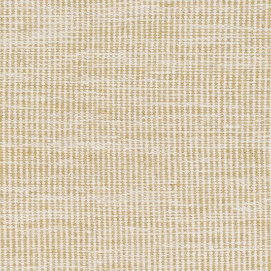 Surya Pipton PPT-6005 2' x 3' Rug