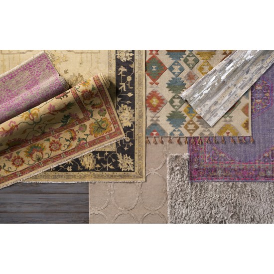 Surya Transcendent TNS-9012 2' x 3' Rug