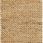 Surya Tropics TRO-1009 2' x 3' Rug