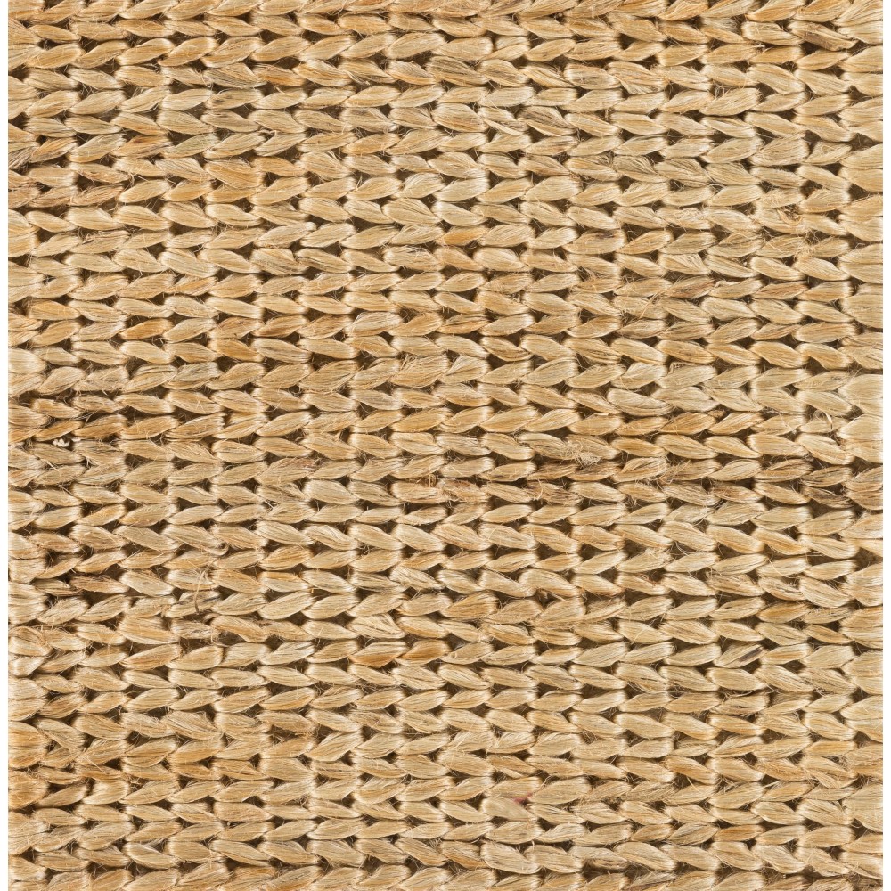 Surya Tropics TRO-1009 2' x 3' Rug Surya Tropics TRO-1009 2' x 3' Rug