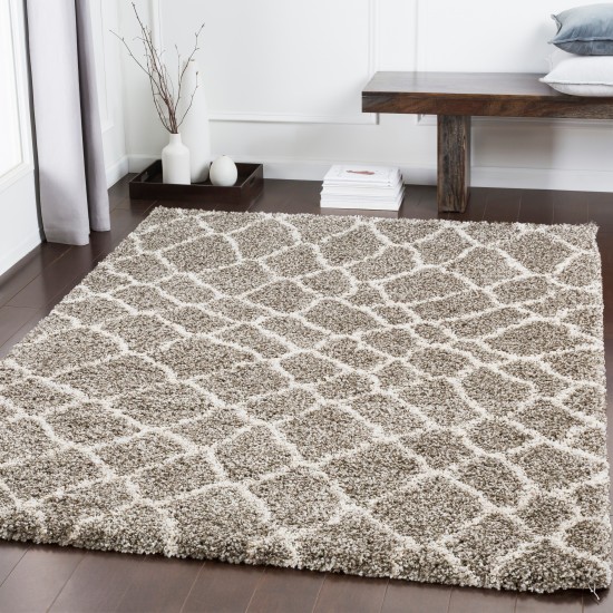 Surya Serengeti Shag SGT-2312 9' x 12'3" Rug