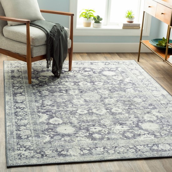 Surya Silk Road SKR-2312 2' x 2'11" Rug