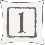Surya Big Kid Blocks BKB-040 18" x 18" Pillow Cover