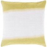 Surya Double Dip DD-001 20" x 20" Pillow Cover