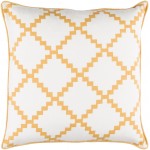 Surya Parsons PR-007 20" x 20" Pillow Cover