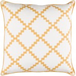 Surya Parsons PR-007 22" x 22" Pillow Cover