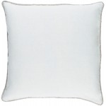 Surya Sasha AH-004 18" x 18" Pillow Cover