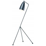 Lucille Black Metal Floor Lighting, HGRA147