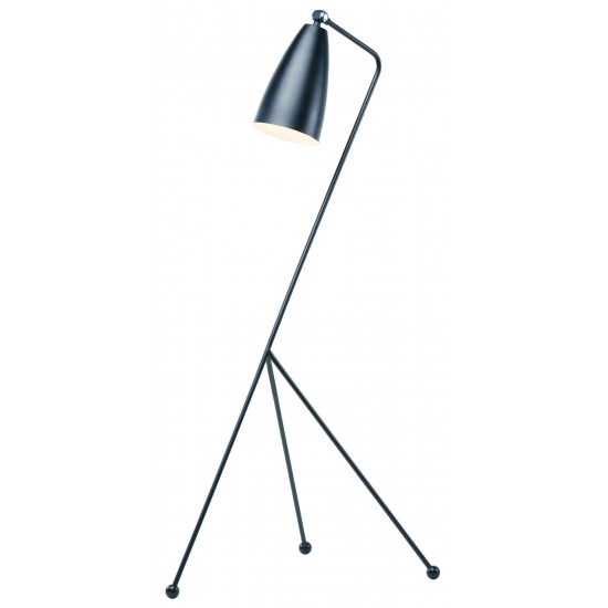 Lucille Black Metal Floor Lighting, HGRA147