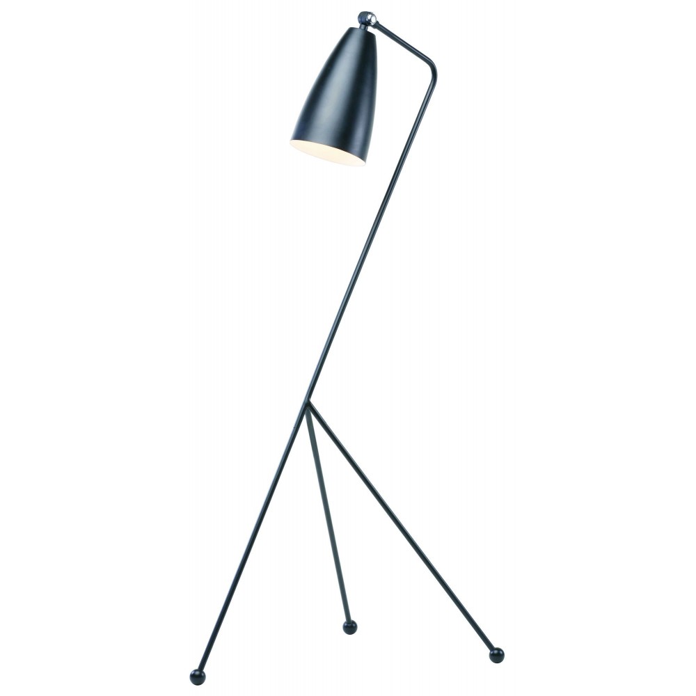 Lucille Black Metal Floor Lighting, HGRA147