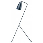 Lucille Black Metal Floor Lighting, HGRA147