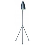 Lucille Black Metal Floor Lighting, HGRA147