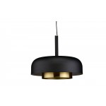 Shaya Black Metal Pendant Lighting