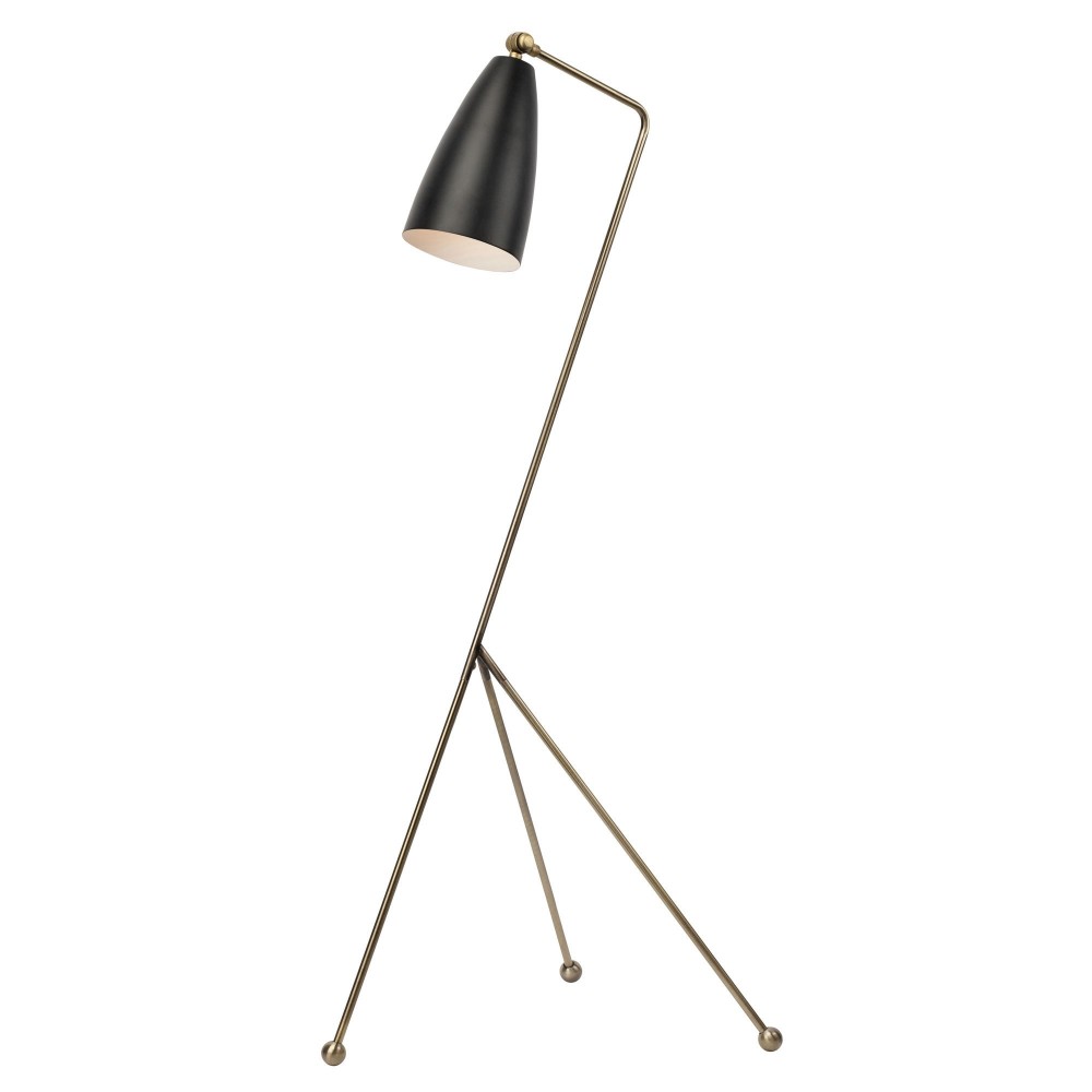 Lucille Black Metal Floor Lighting, HGRA227