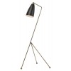 Lucille Black Metal Floor Lighting, HGRA227