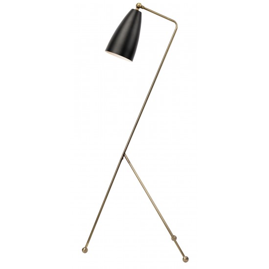 Lucille Black Metal Floor Lighting, HGRA227