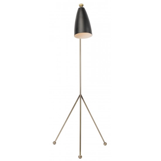 Lucille Black Metal Floor Lighting, HGRA227