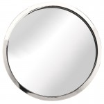 Julia Silver Metal Wall Mirror