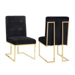 TOV Furniture Akiko Black Velvet Chair - Set of 2