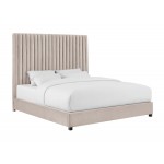 TOV Furniture Arabelle Blush Velvet Bed in Queen